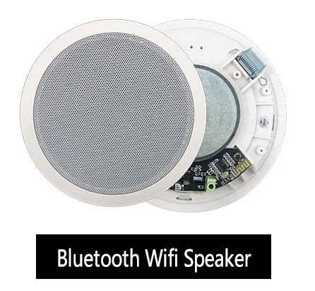 Ceiling Bluetooth Speaker