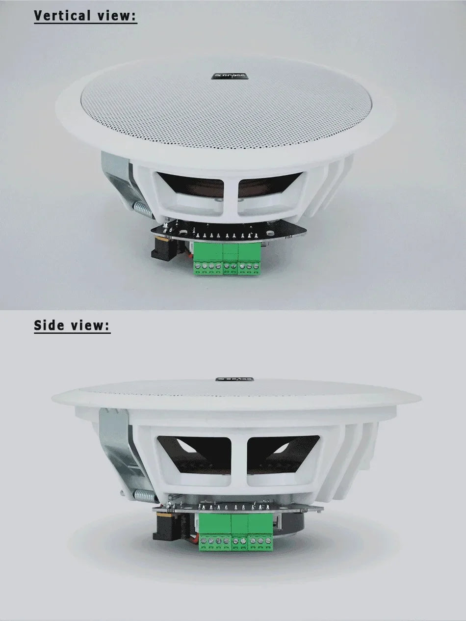 Ceiling Bluetooth Speaker