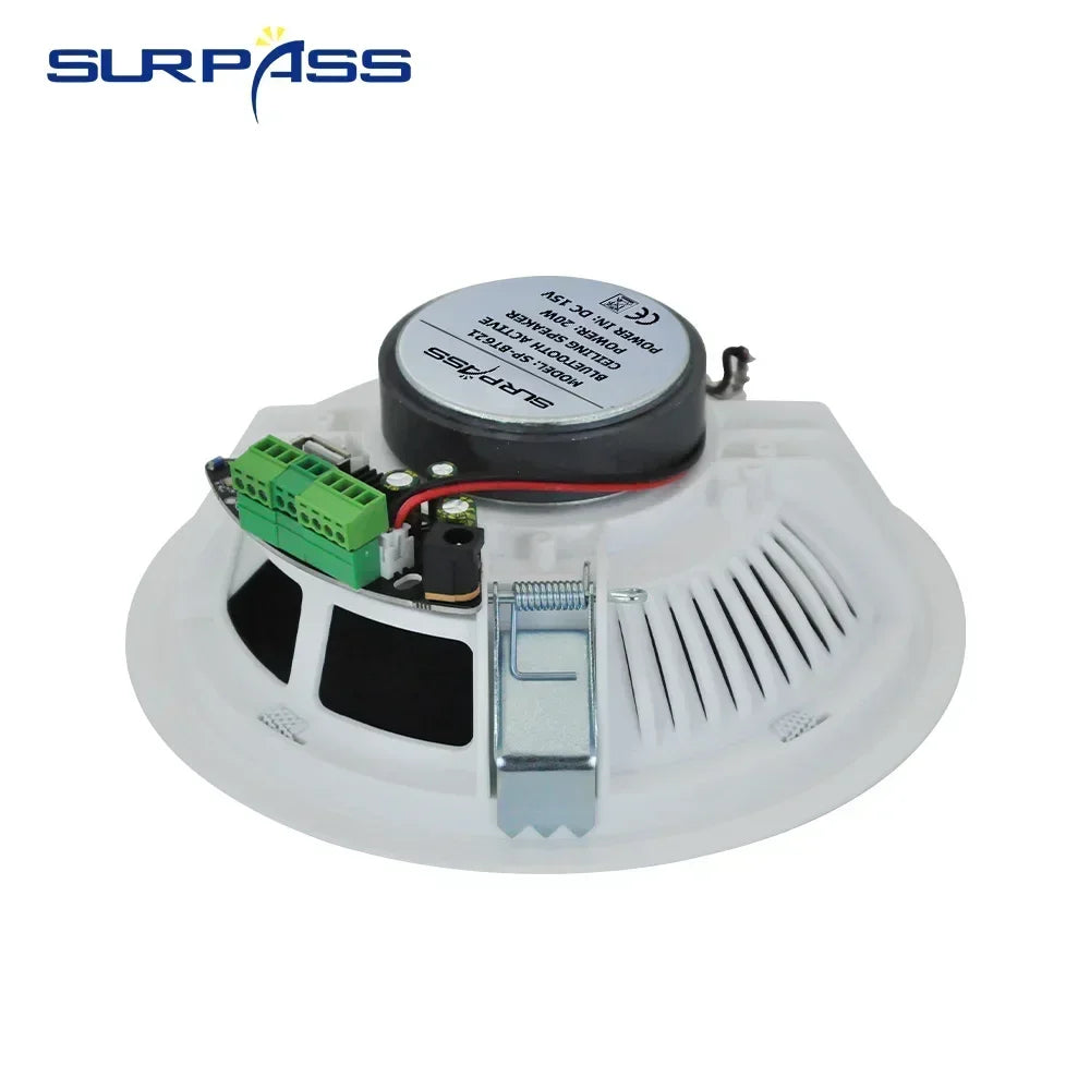 Ceiling Bluetooth Speaker