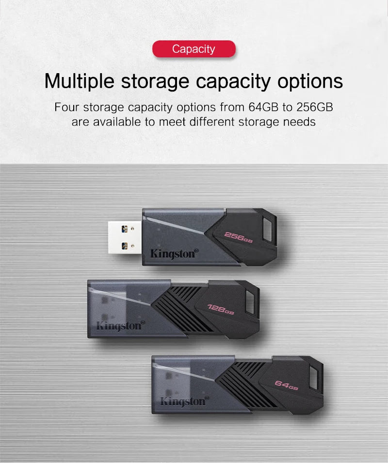 Kingston Exodia Onyx USB Flash Drive