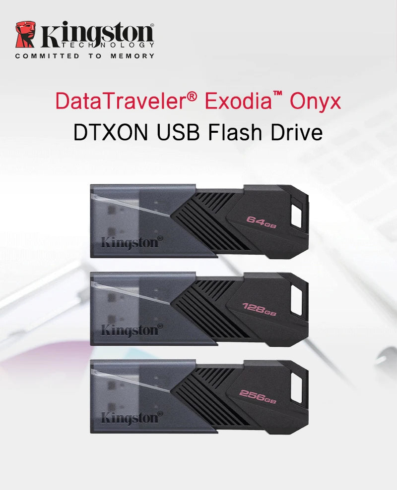Kingston Exodia Onyx USB Flash Drive