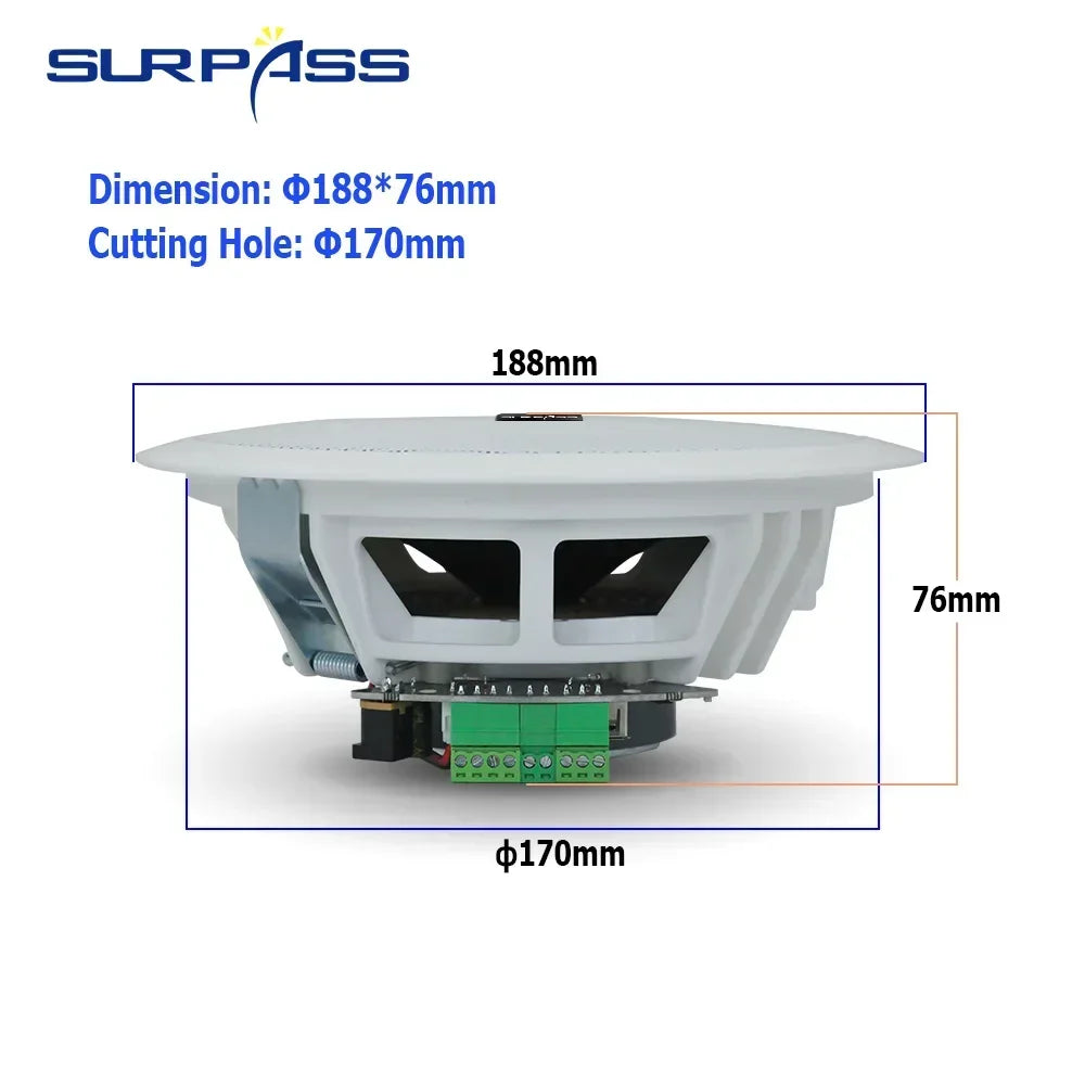 Ceiling Bluetooth Speaker