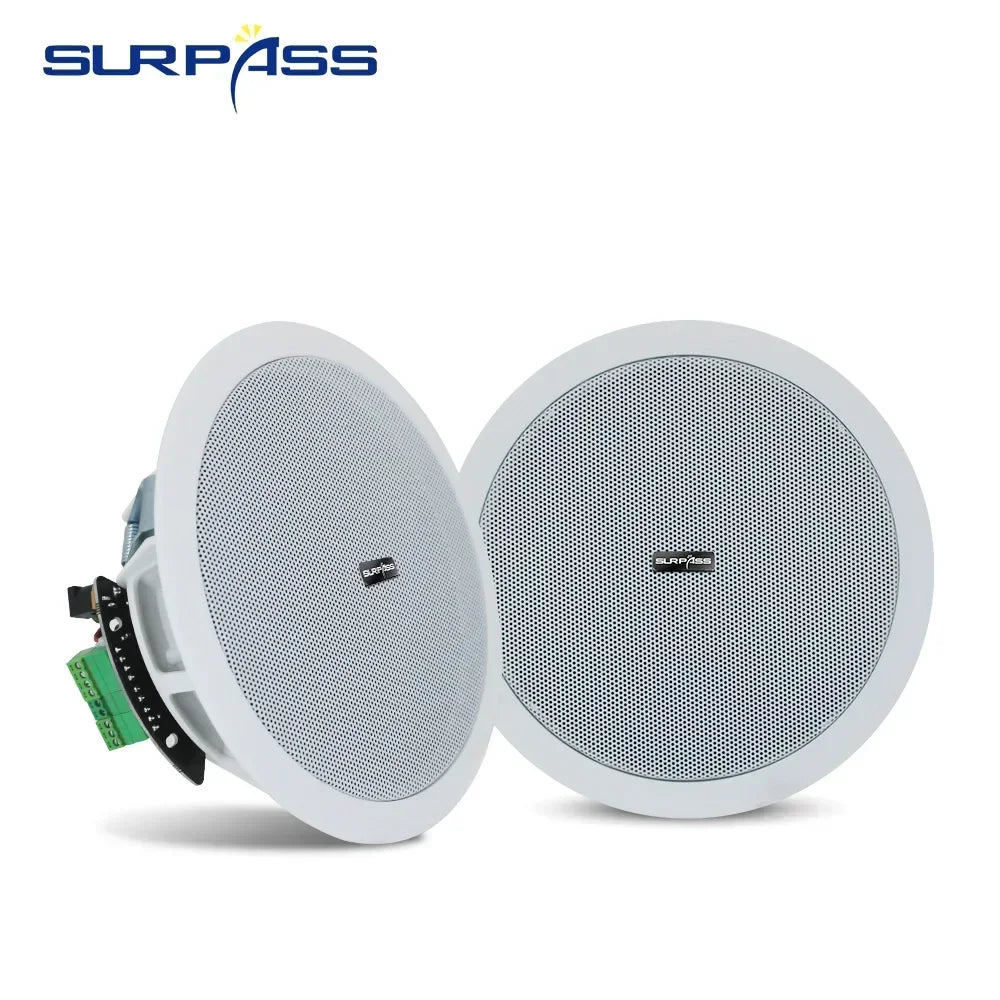 Ceiling Bluetooth Speaker