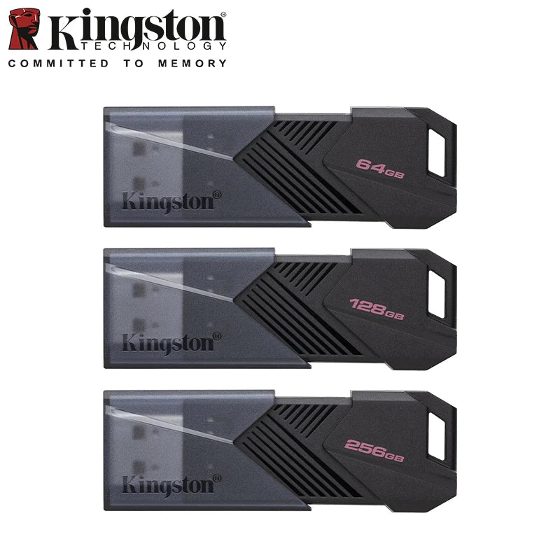 Kingston Exodia Onyx USB Flash Drive