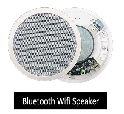 Ceiling Bluetooth Speaker
