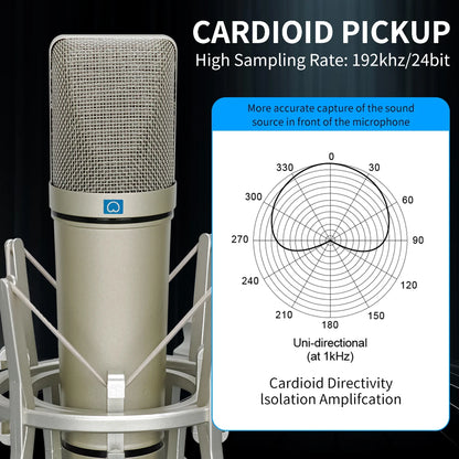 LEUS U87 AI XLR Condenser Microphone