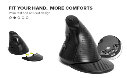 Delux M618 BU Ergonomic Vertical Mouse