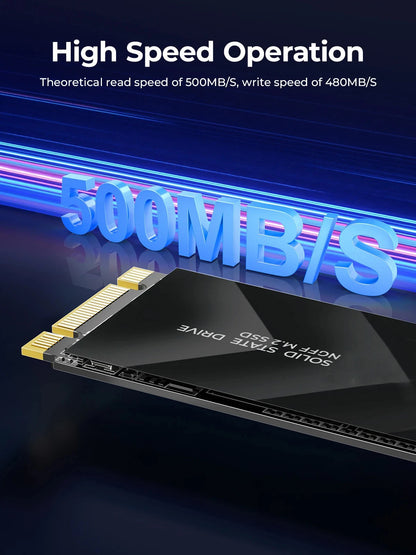 256GB M.2 NVMe SATA SSD