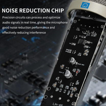 LEUS U87 AI XLR Condenser Microphone