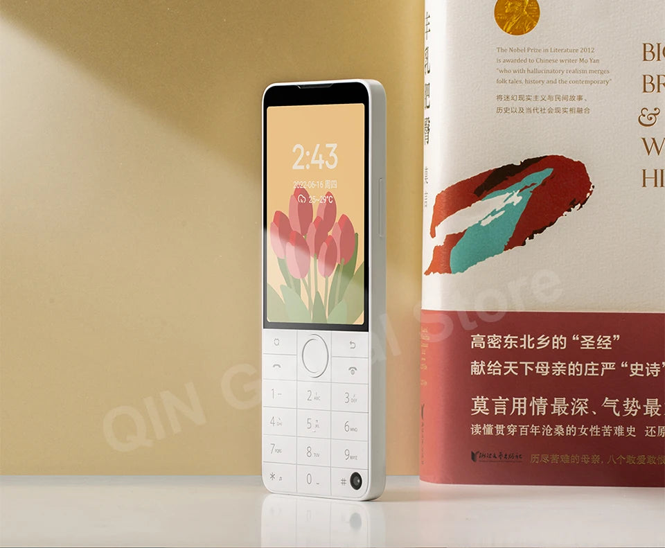 Qin F22 Pro Global Version Phone