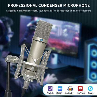 LEUS U87 AI XLR Condenser Microphone