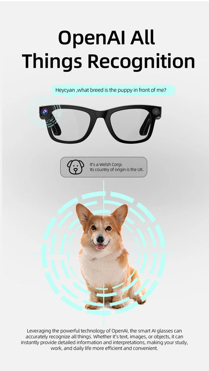Xiaomi AI Smart Glasses