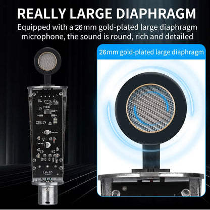 LEUS U87 AI XLR Condenser Microphone