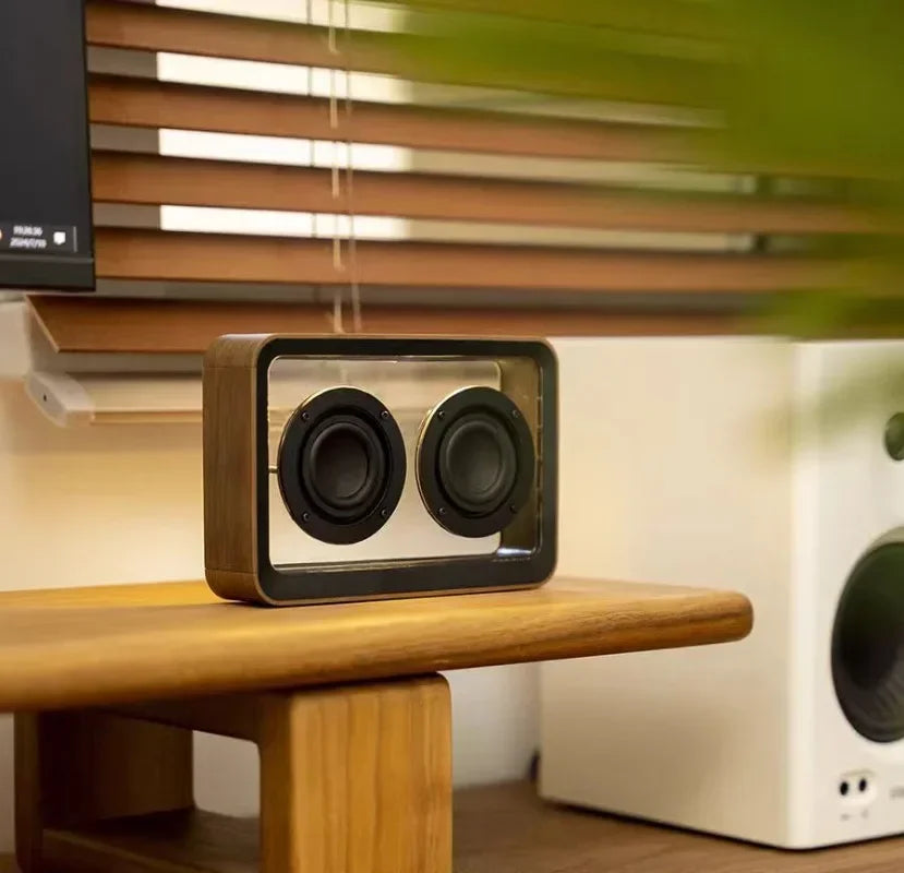 Transparent Wireless Bluetooth Speaker with Duel Horn