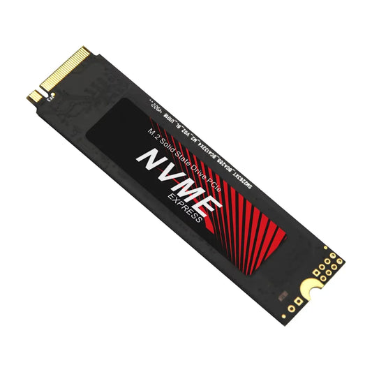 256GB M.2 NVMe SATA SSD
