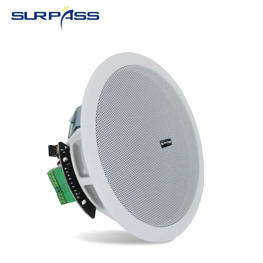 Ceiling Bluetooth Speaker
