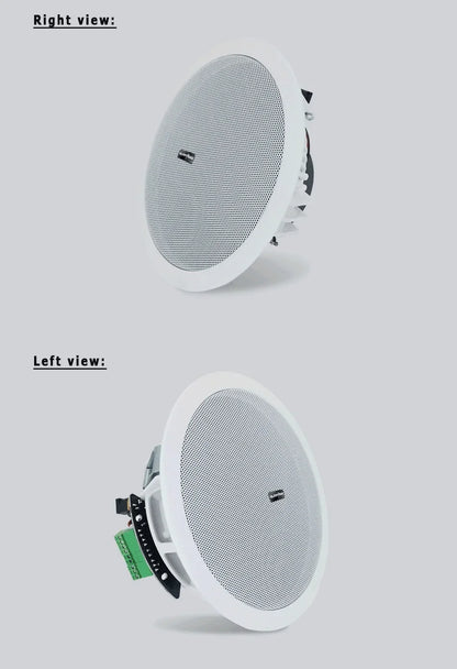 Ceiling Bluetooth Speaker